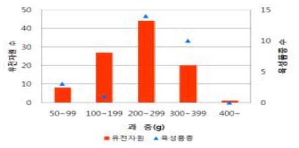 사과 유전자원과 육성품종 간 과중 분석