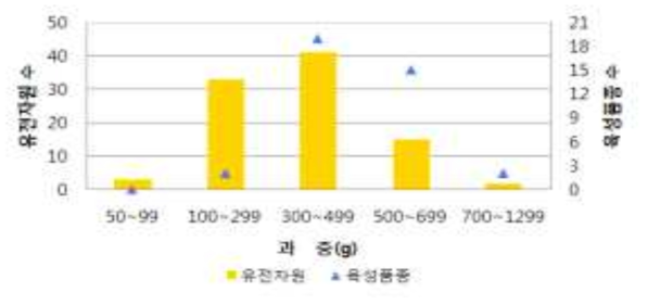 배 유전자원과 육성품종 간 과중 분석