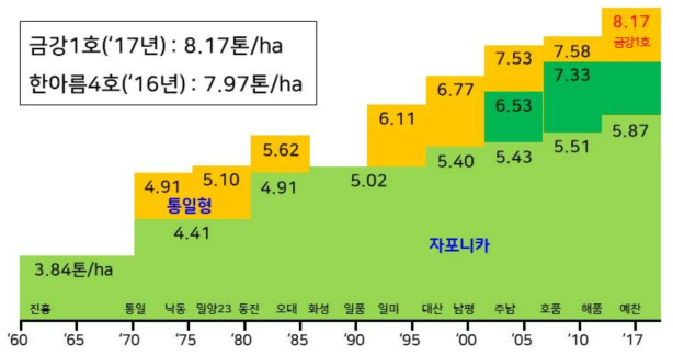 통일형 및 자포니카 벼 품종의 수량성 추이