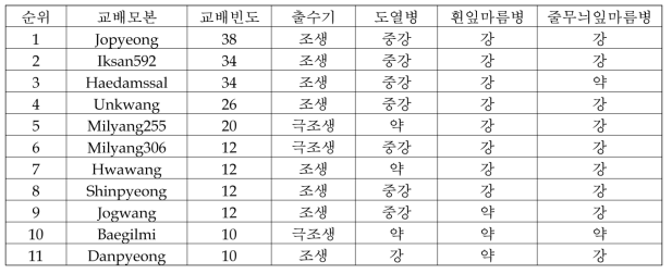 최근 5년간 단기성 F1 에 가장 많이 사용된 교배친의 주요 특성