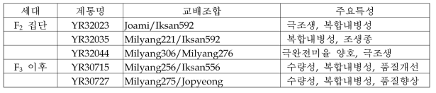 2017년이모작 작부체계 적응 단기성 벼 세대별 유망계통 선발내역