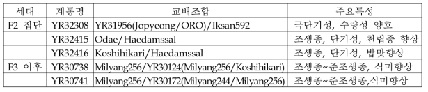 2018년이모작 작부체계 적응 단기성 벼 세대별 유망계통 선발내역