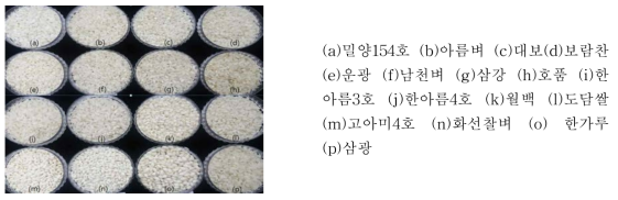 국산 쌀(다수계 포함)의 외관특성