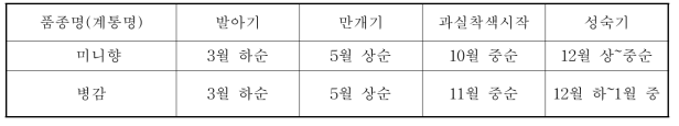 ‘미니향’ 생육특성(시설재배) (감귤연구소)