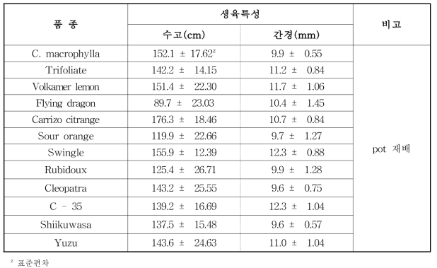 대목 시험계통별 생육조사(2년생)