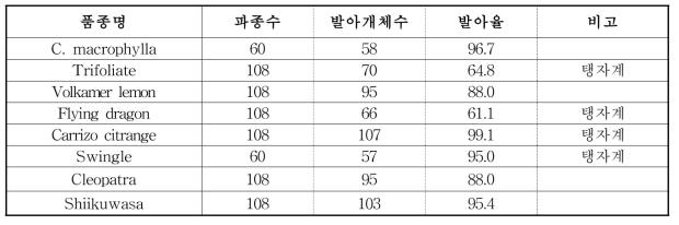 대목 시험자원별 파종 후 발아율 조사