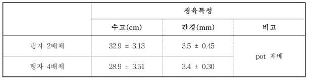 탱자 2배체 및 4배체 생육(파종 후 1년차)