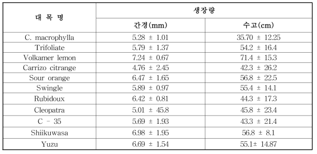 대목 자원별 접수 품종 접목 후 생육( 접수계통 : ‘신예감’)