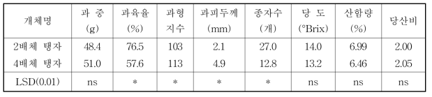 2배체와 4배체 탱자의 과실특성(2014. 11. 4)