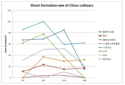 동해 처리시간에 따른 감귤 품종별 신초 형성율