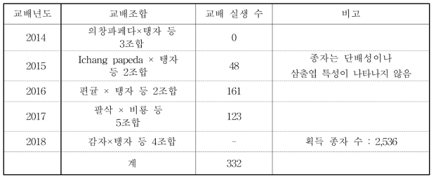 감귤 대목개발을 위한 교배조합 별 실생 양성 현황