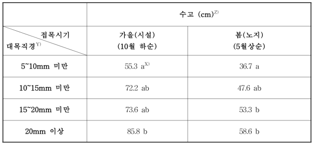 감귤 ‘미니향’ 대목(탱자) 직경에 따른 생육비교