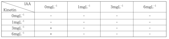 배양에 이용된 Kinetin과 IAA의 호르몬 조합