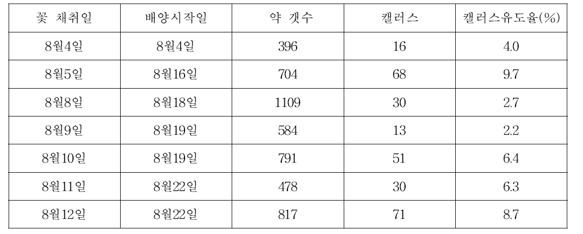 영파금감 배양일에 따른 캘러스 유도율