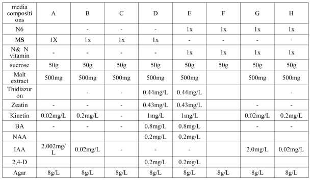 약배양에 쓰인 배지 조성