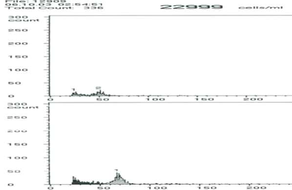 Flow cytometry를 이용한 배수성 검정