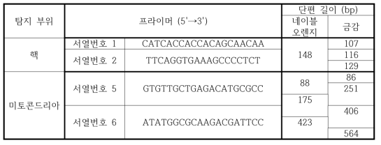 세포융합체 핵 및 미토콘드리아 DNA 판별 프라이머 및 단편길이(bp)
