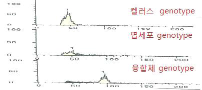 Flow cytometry를 이용한 배수성 검정