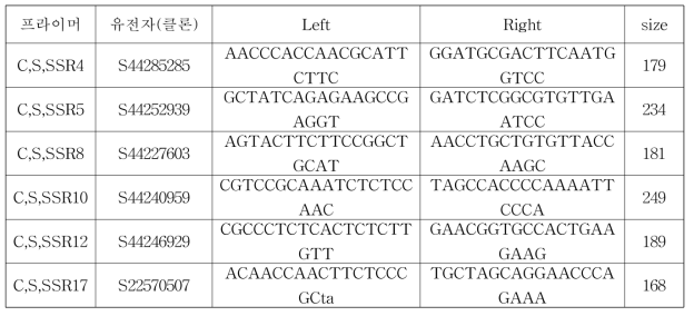 이질여부 판별에 이용된 프라이머 염기서열