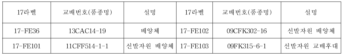 선발된 4계통의 육성 내역