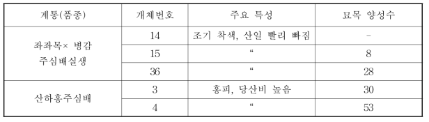 ‘16년 묘목 증식 우수 계통 및 주요 특성