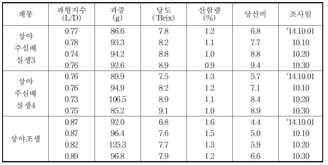 함덕 지역 상야주심배 실생 과실 특성