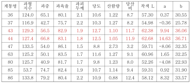 암기조생 × 썬버스트 착과 계통 과실 특성 조사 (조사일 2015. 10. 14.)