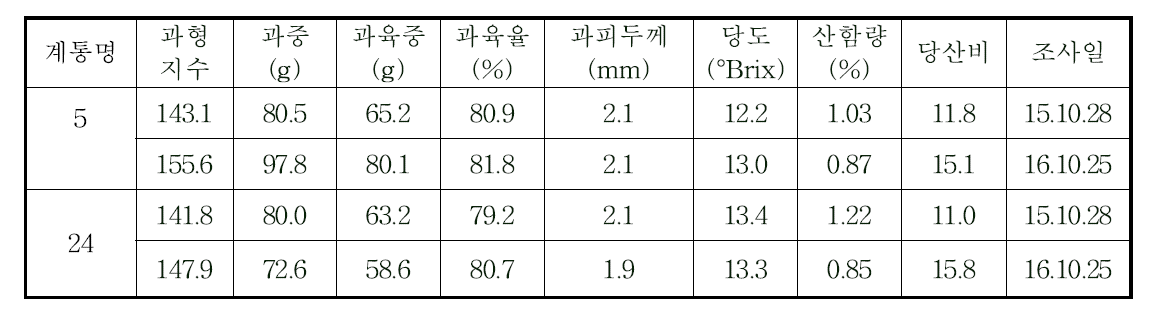 선발계통의 과실 특성