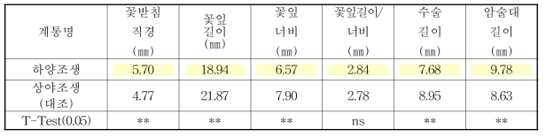 ‘하양조생’과 대조품종의 꽃 특성 비교 (‘14. 5. 23, 감귤시험장)