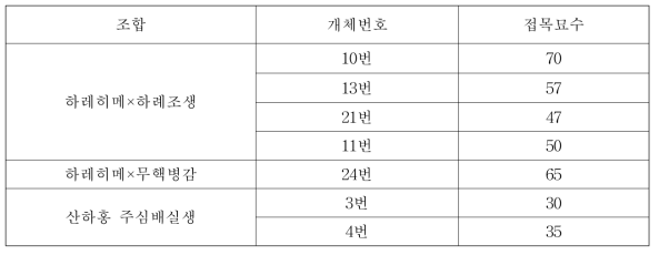 ‘15년 증식 조합 및 접목묘 수