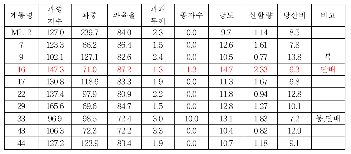 성전온주× Lee 교배 조합 착과 계통 주요 과실 특성 조사 (조사일 ‘14.12.1.)