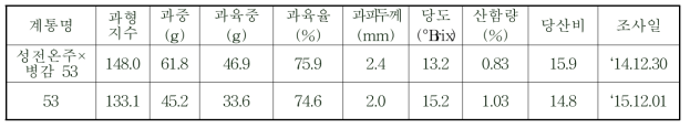 성전온주×병감 53 계통의 주요 과실 특성