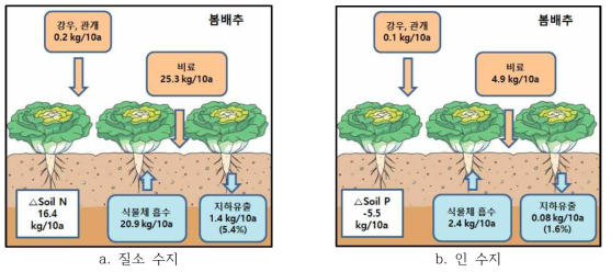 봄배추 재배기간 동안 사양질(양토)의 양분수지(‘17, ’18 평균)
