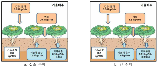 가을배추 재배기간 동안 식질(미사질식양토)의 양분수지(‘17, ’18 평균)