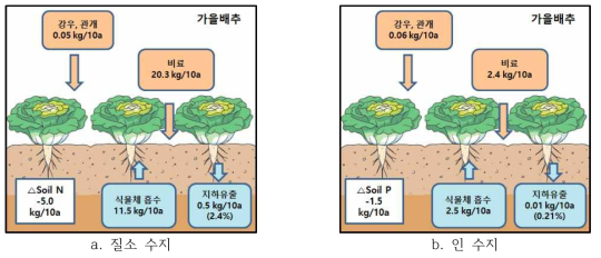 가을배추 재배기간 동안 사양질(양토)의 양분수지(‘17, ’18 평균)