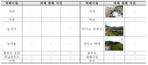 기타재해위험지구 피해시설 현황