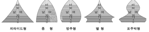 인구 피라미드 유형