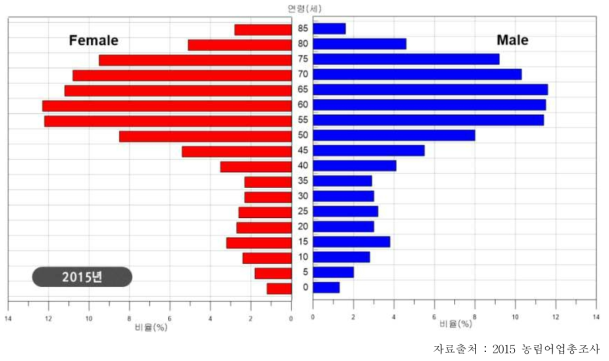 2015년의 연령대별 인구구조