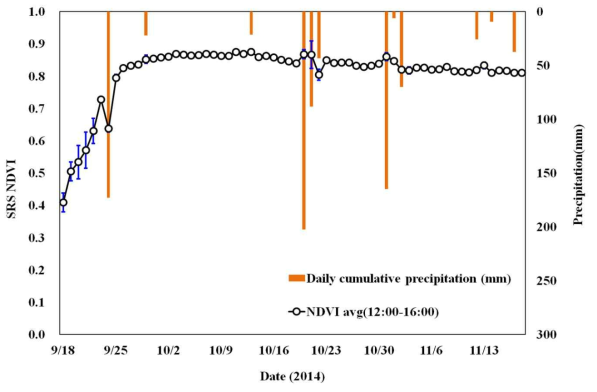 가을배추의 SRS NDVI 및 강우량 일변화