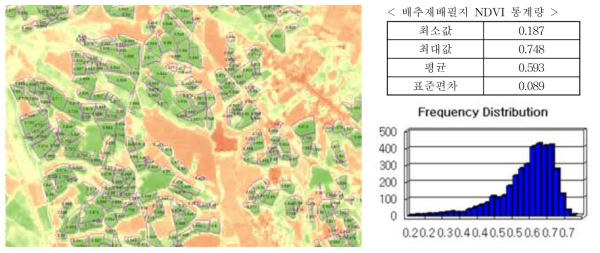 배추 재배필지의 NDVI 추출 결과