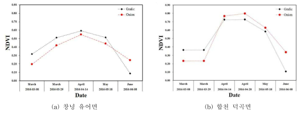 양파․마늘의 시계열 NDVI 변화
