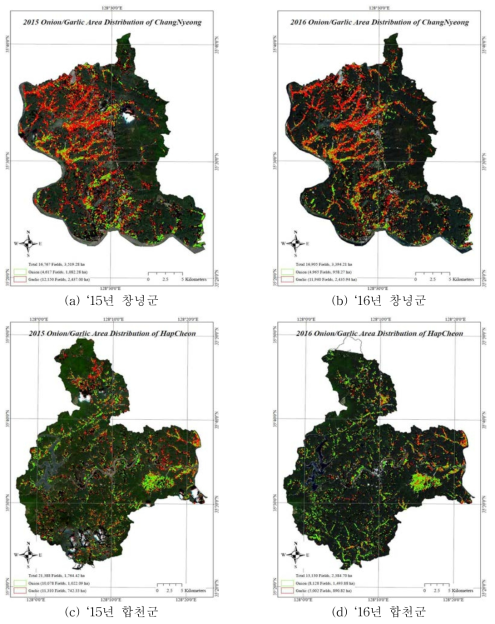 위성영상 기반 양파, 마늘 작물구분도