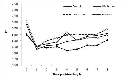 Changes in ruminal pH affected by corn-processing