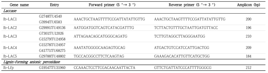 리그닌 중합 반응과 관련된 유전자의 프라이머 서열 정보