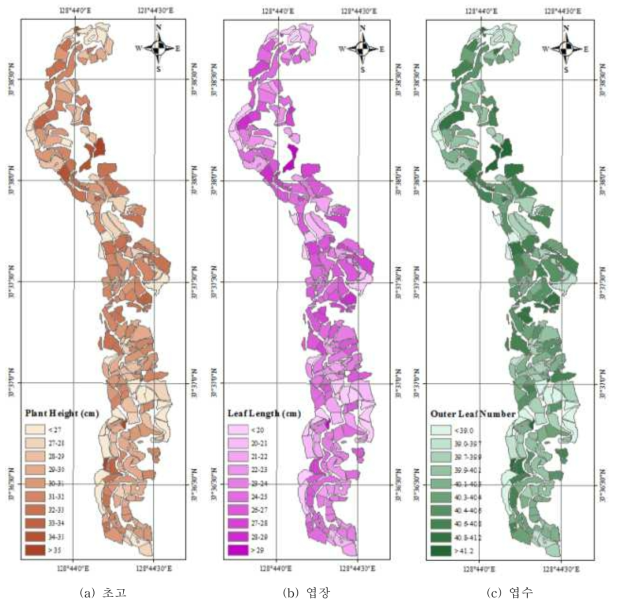 고랭지배추 주산지 생육인자 분포도(강릉 안반덕 대상)