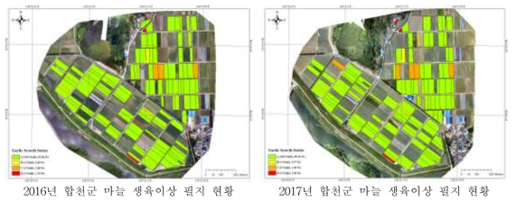 연차별, 필지별 마늘 생육이상 유형 분포도