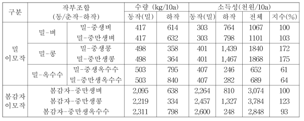 밀 및 감자 이모작의 작부조합별 수량성 및 소득성