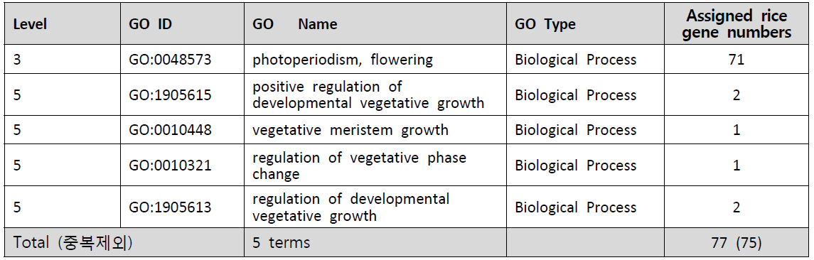영양생장관련 유전자 biological GO term 및 각 그룹의 발현유전자 수