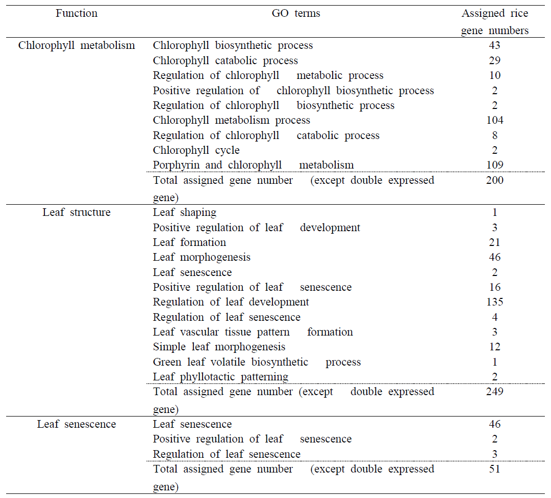 잎구조 및 생육관련 유전자의 GO 분석