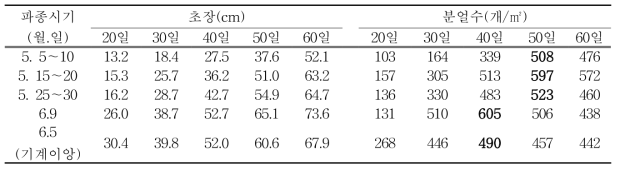 현품(중만생종) 파종(이앙)시기별 초장 및 분얼수(‘15~ ‘17)